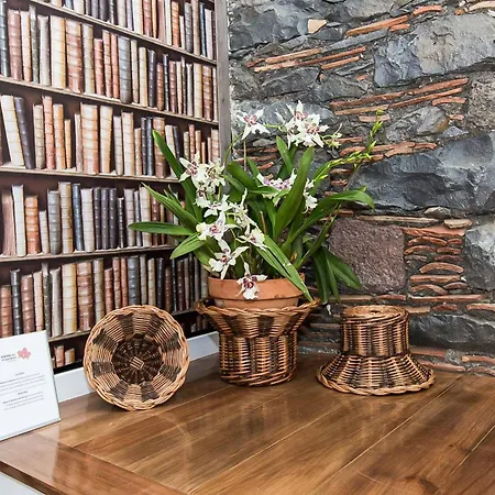 Casa Orquideas Estreito Da Calheta